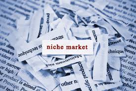 Niche market adalah