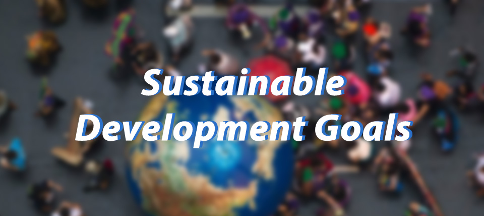 Sustainable development goals: all you need to know
