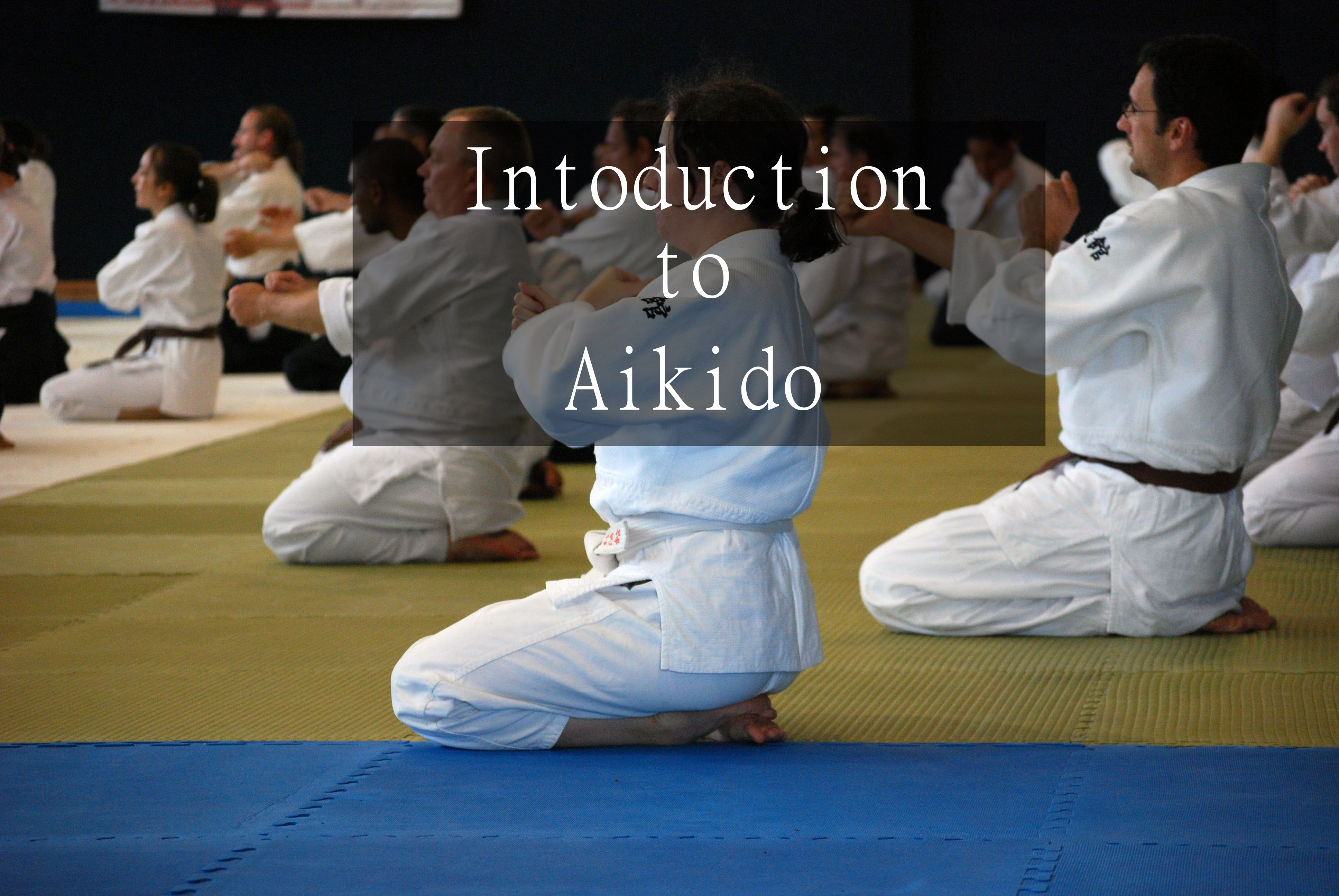 Introduction to Aikido