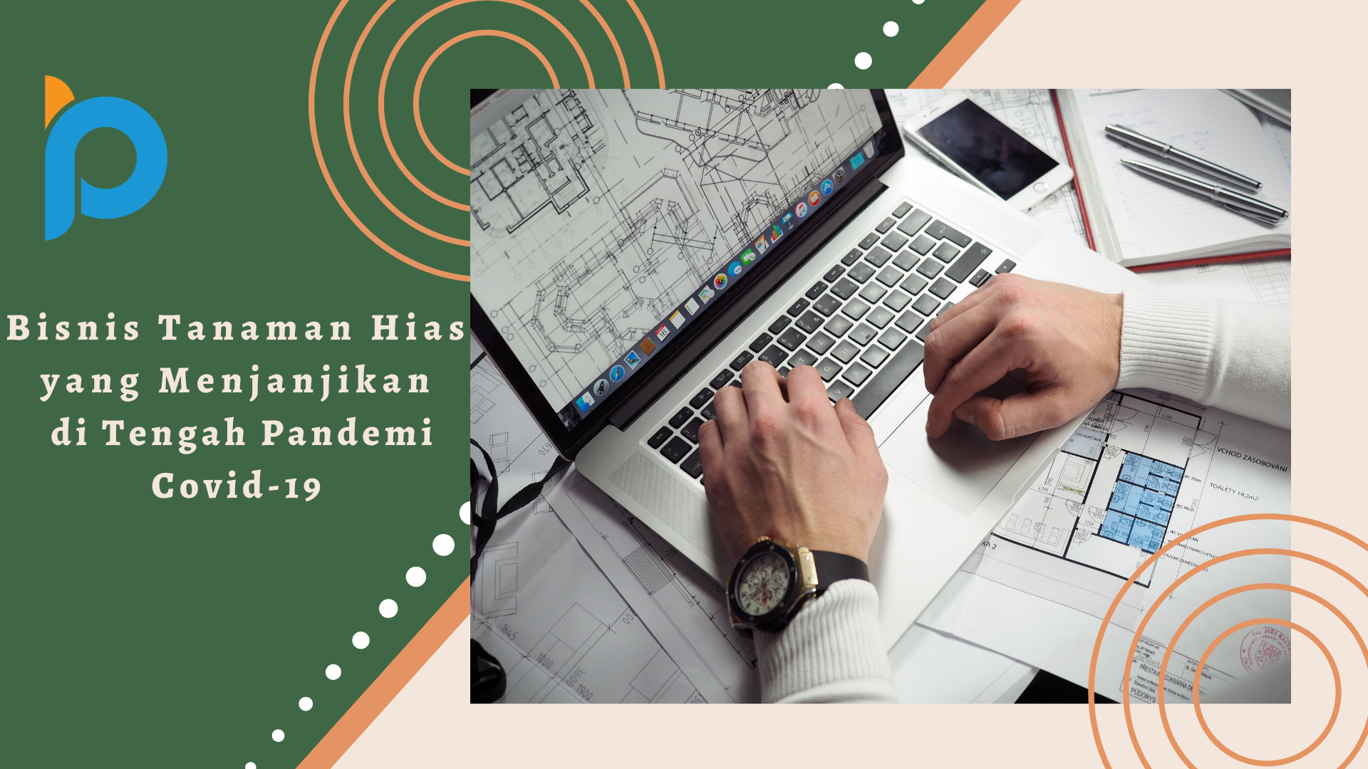 Bisnis Tanaman Hias yang Menjanjikan di Tengah Pandemi Covid-19