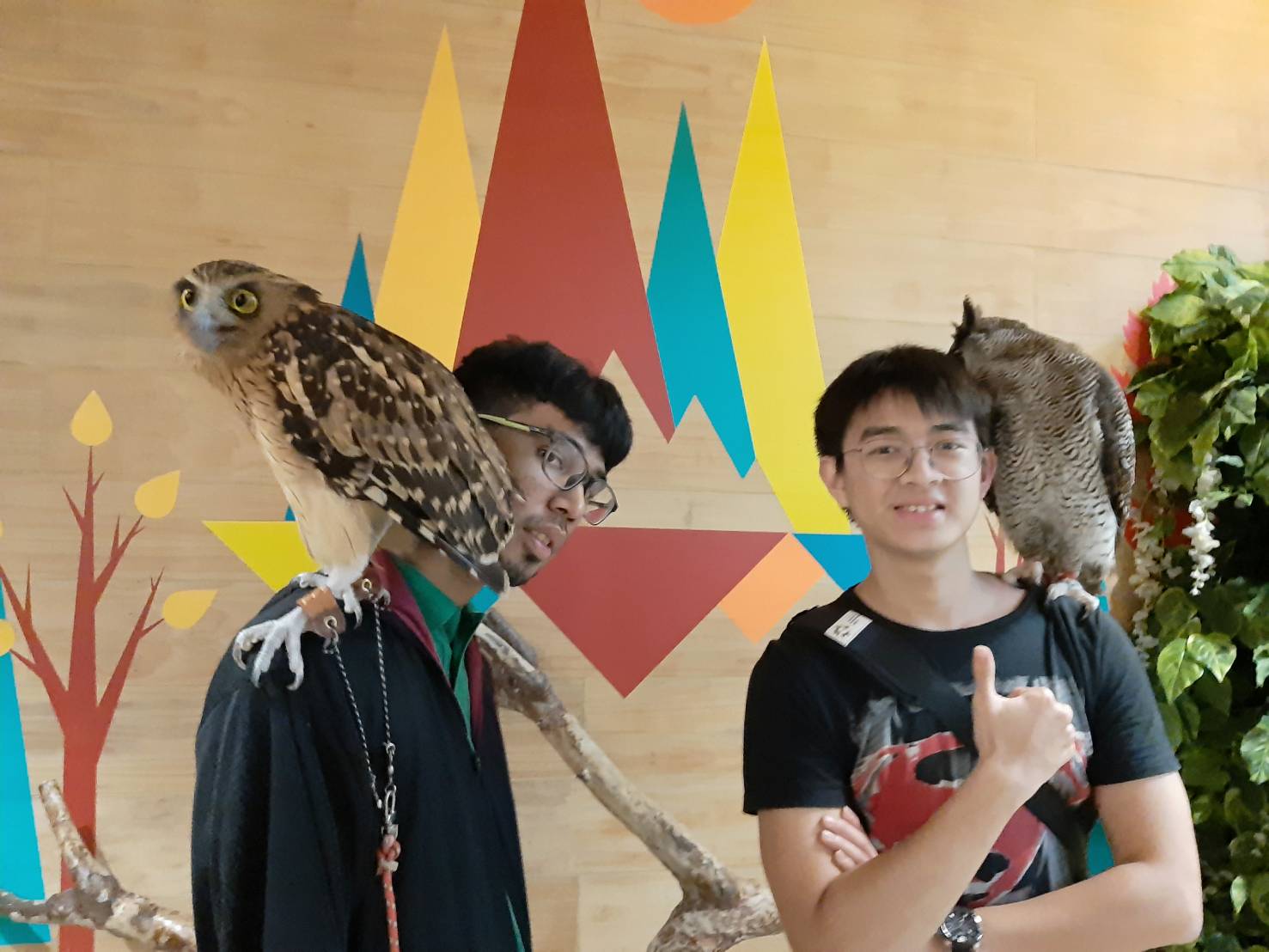 BASIC Goes to Owl Cafe