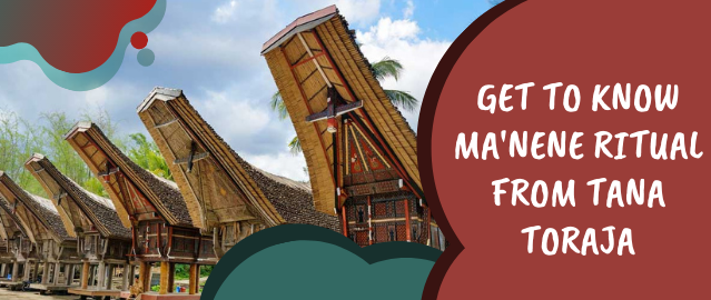 GET TO KNOW MA’NENE RITUAL FROM TANA TORAJA