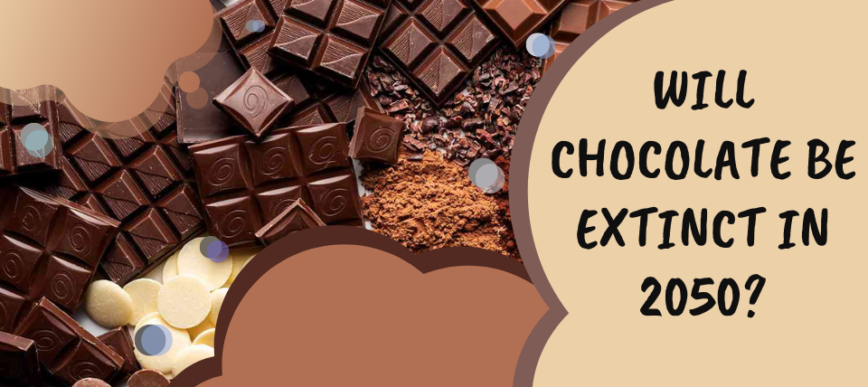 WILL CHOCOLATE BE EXTINCT IN 2050?