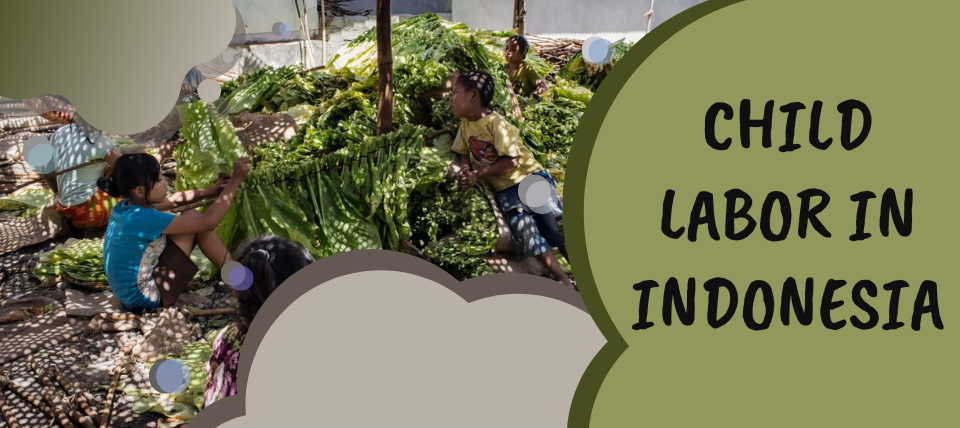 CHILD LABOR IN INDONESIA