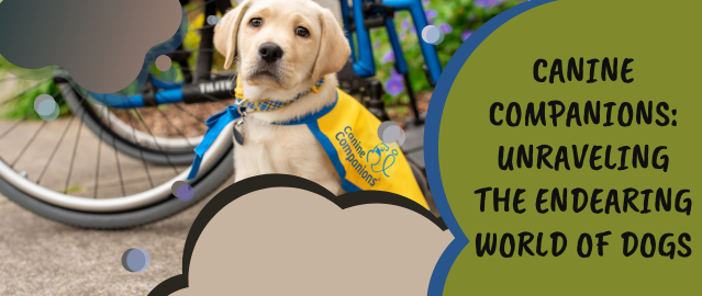 Canine Companions: Unraveling the Endearing World of Dogs