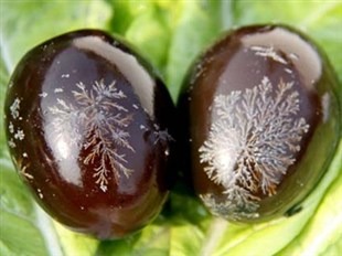 Mengenal Telur Pitan, Century Egg dari Tiongkok