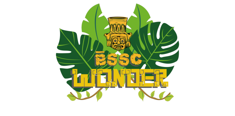 Pengumuman Team Leader BSSC Wonder 2018