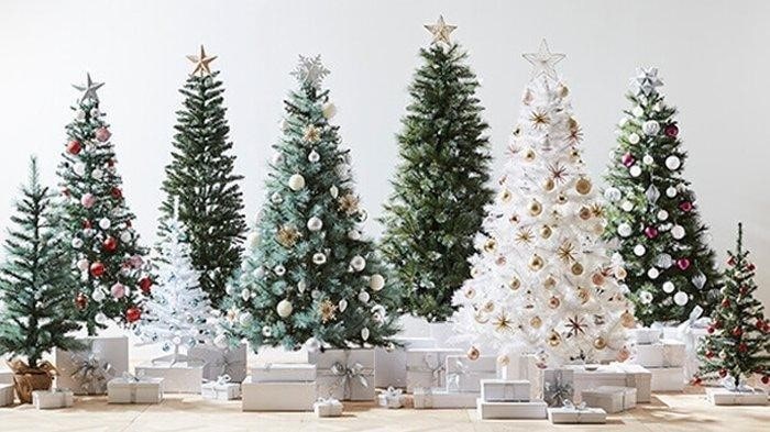 Why The Fir Tree Became An Icon At Christmas? – BINUS Square Student ...