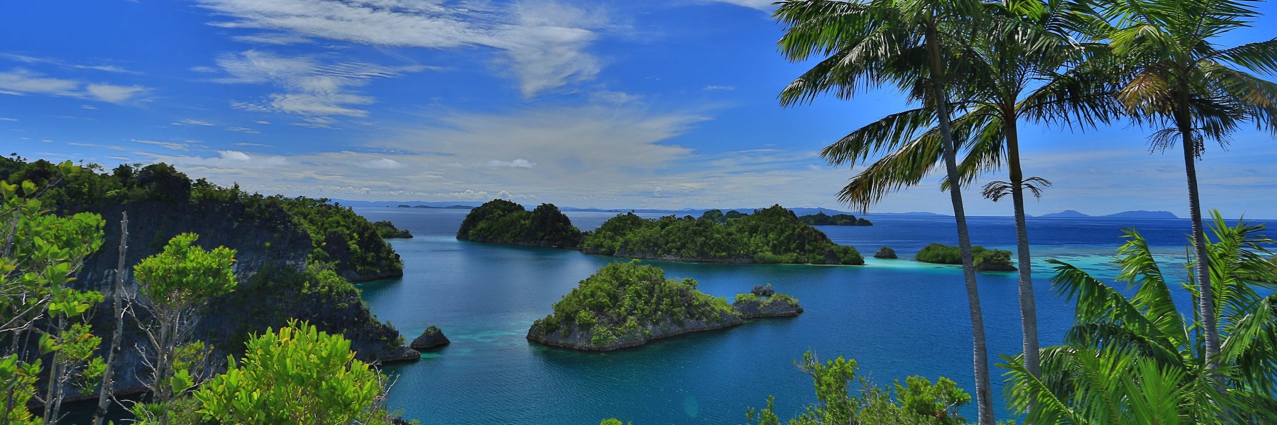 Raja Ampat: World Adventure Paradise at the Edge of Papua