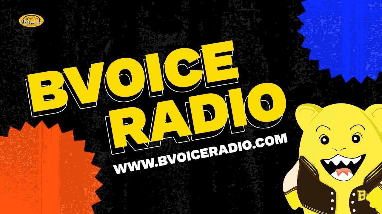 COMPANY PROFILE BVOICE RADIO 2021