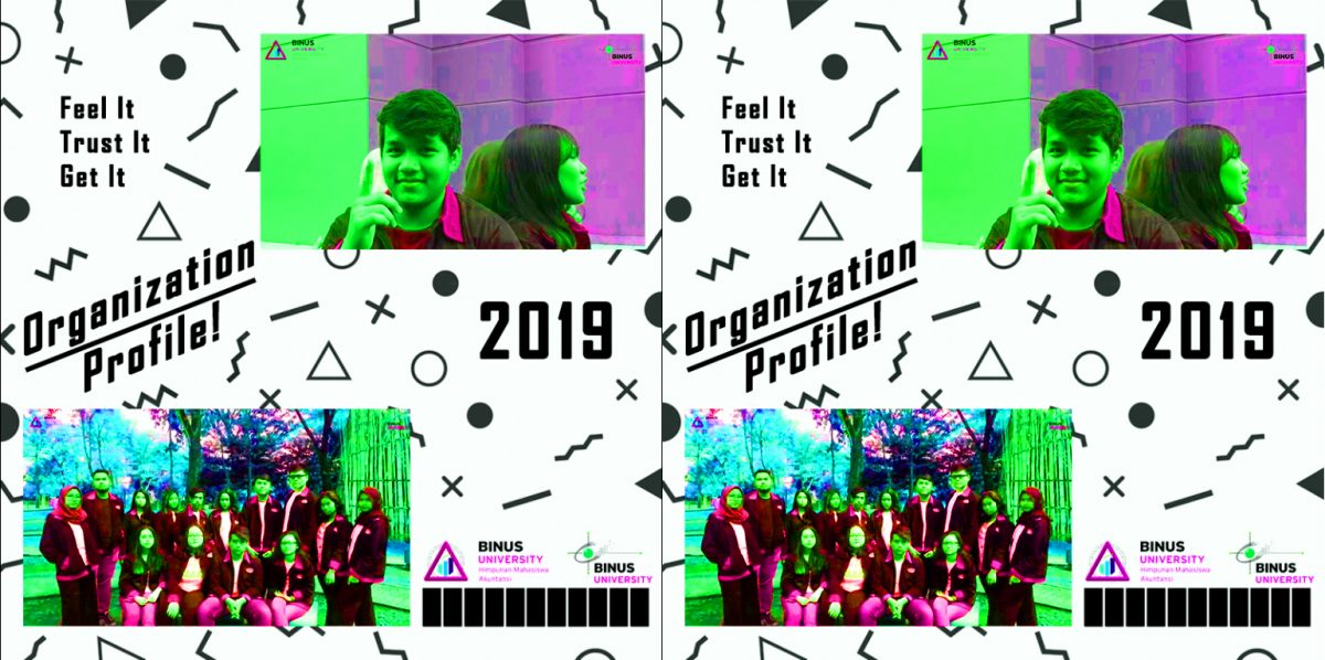 ORGANIZATION PROFILE HIMA 2019