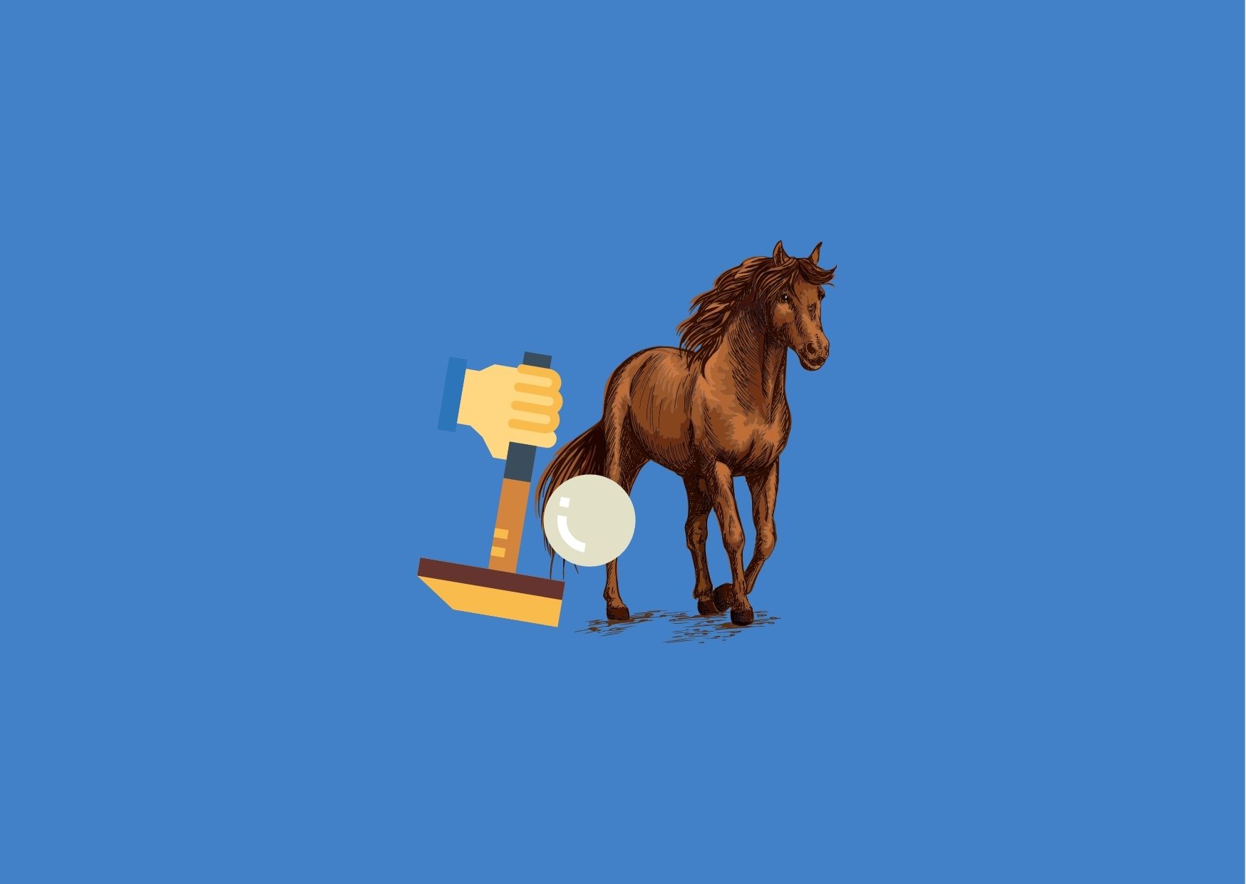 Friday Facts: Polo