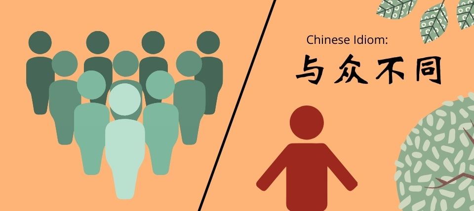 Chinese Idiom: 与众不同