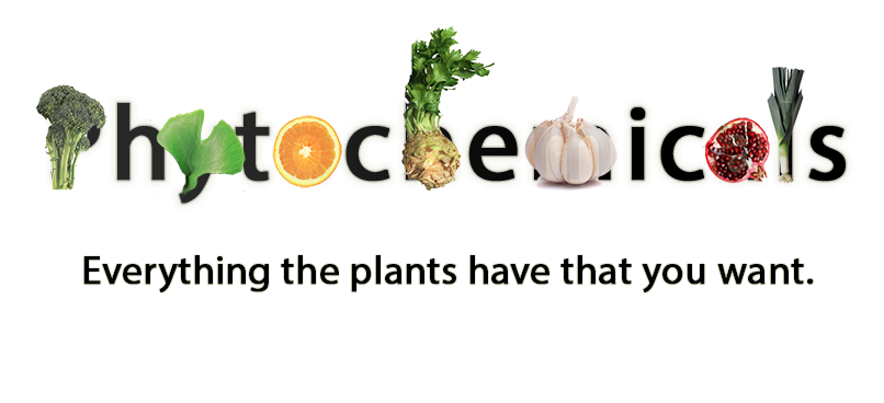 Phytochemical and its Development for Functional Foods