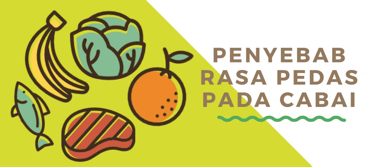 PENYEBAB RASA PEDAS PADA CABAI
