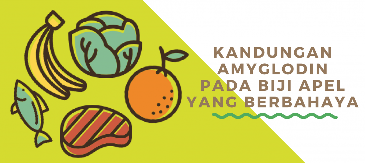 KANDUNGAN AMYGLADIN PADA BIJI APEL YANG DAPAT BERBAHAYA BAGI TUBUH?