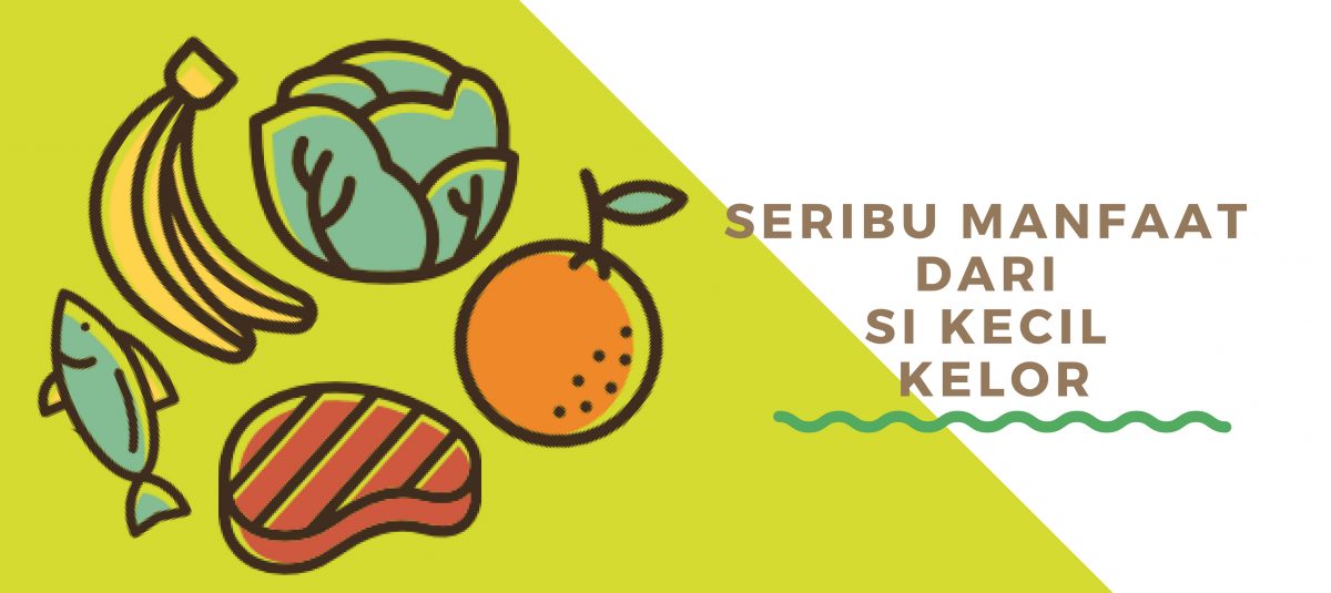 SERIBU MANFAAT DARI SI KECIL KELOR