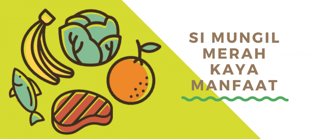 SI MUNGIL MERAH KAYA MANFAAT