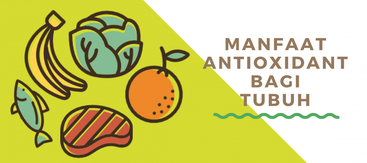 MANFAAT ANTIOXIDANT BAGI TUBUH