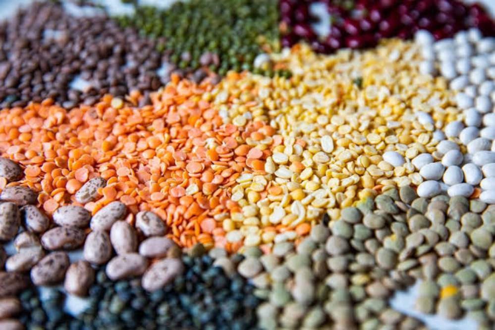 KACANG LENTIL? TERNYATA BANYAK MANFAATNYA LOH! HIMFOODTECH