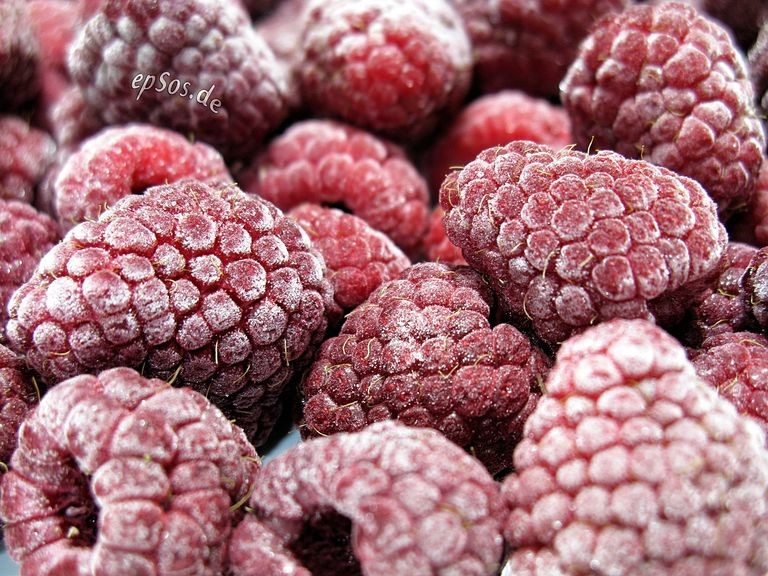 Freeze Drying: Metode yang Dapat Menghasilkan Produk Pangan Berkualitas