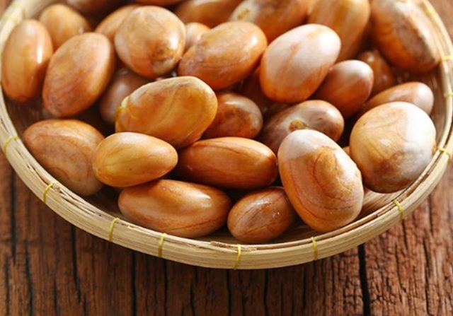 Alternatif Pengolahan Biji Buah Nangka dalam Upaya Mengurangi Limbah Pangan di Indonesia