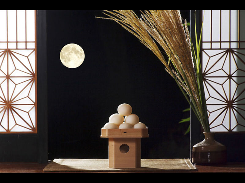 Tsukimi, Indahnya Menatap Bulan
