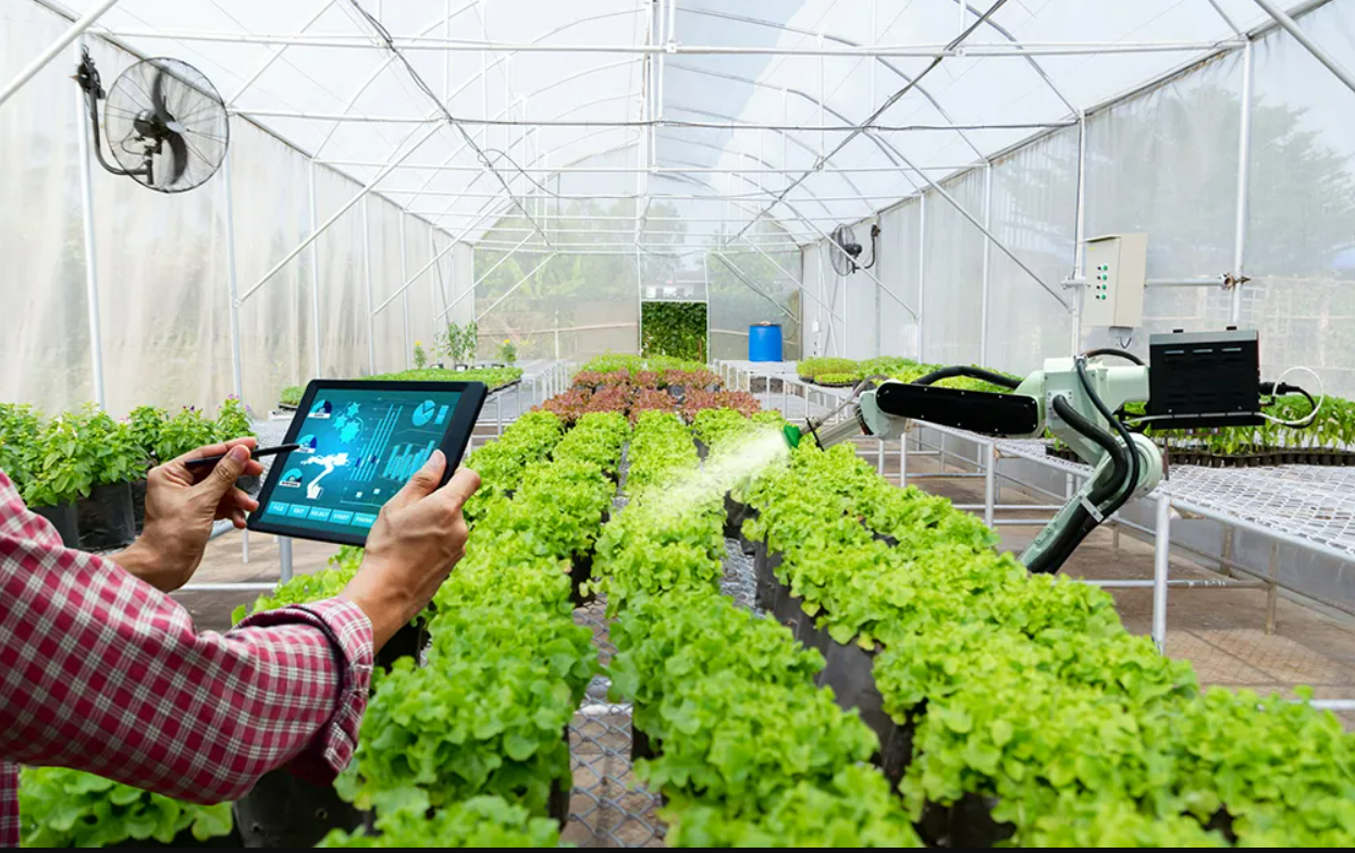 Internet of Things dalam Dunia Pertanian