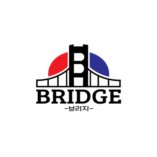 IMMERSION HIMSISFO 2023: BRIDGE