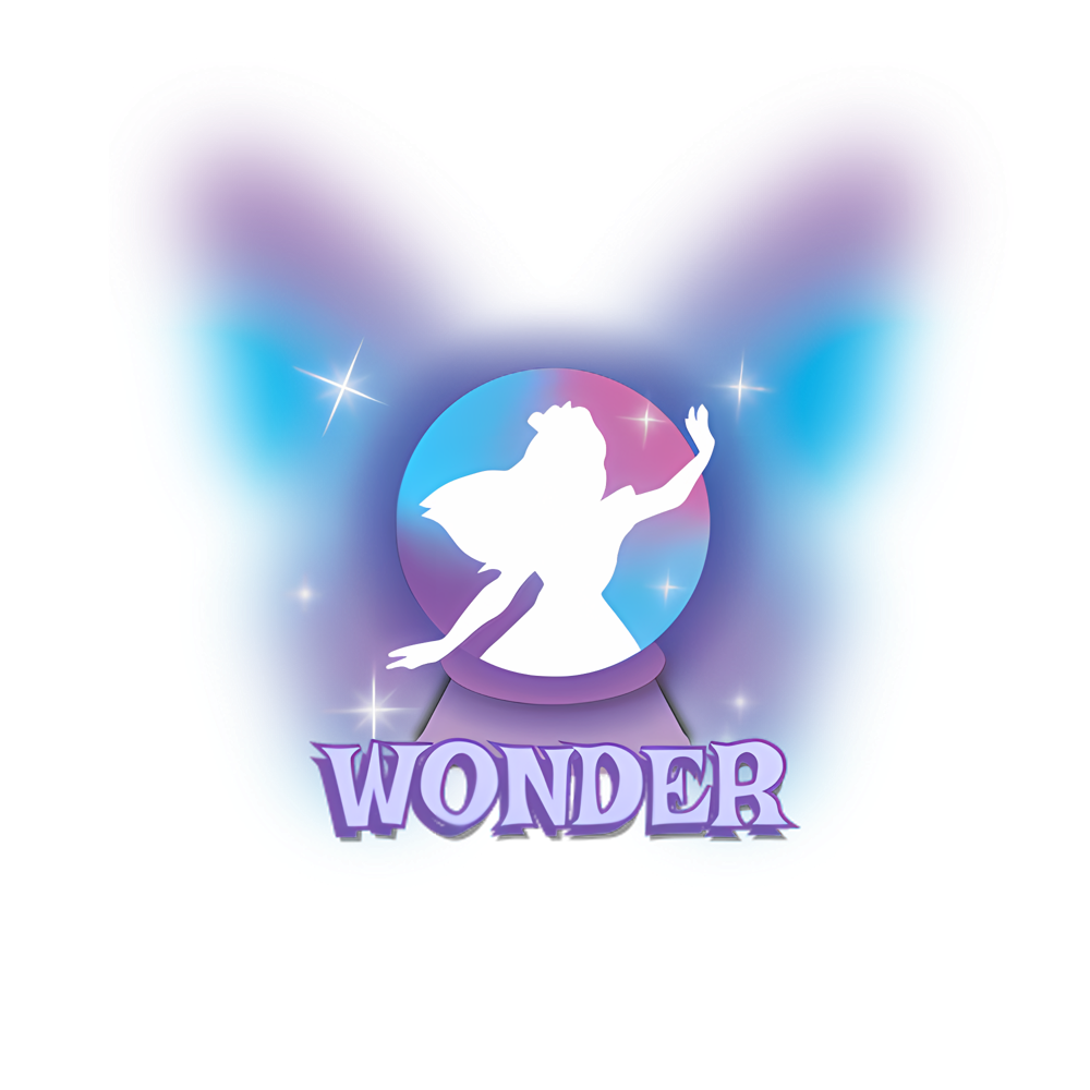 HIMSISFO BIRTHDAY PARTY 2024: WONDER