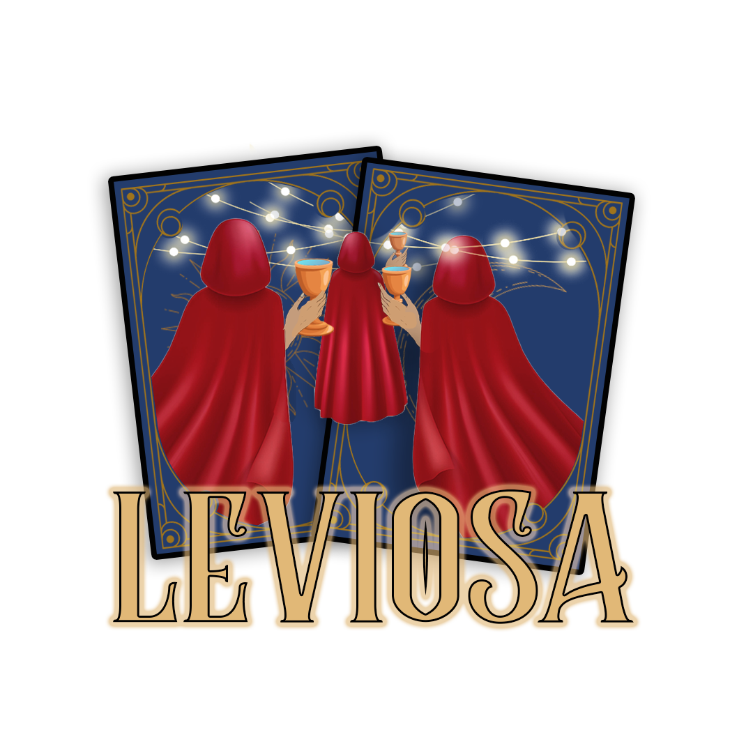 Welcoming Party HIMSISFO 2024: LEVIOSA
