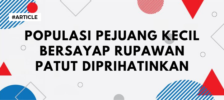 Populasi Pejuang Kecil Bersayap Rupawan Patut Diprihatinkan