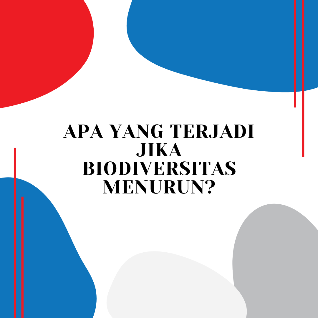 Apa yang Terjadi Jika Biodiversitas Menurun?