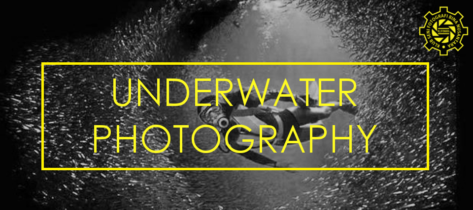 Tips Fotografi Bawah Air