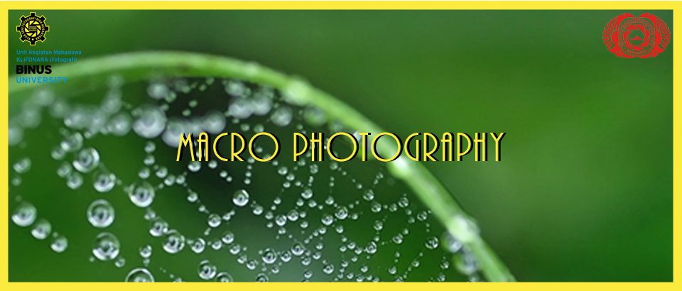 MACRO PHOTOGRAPHY