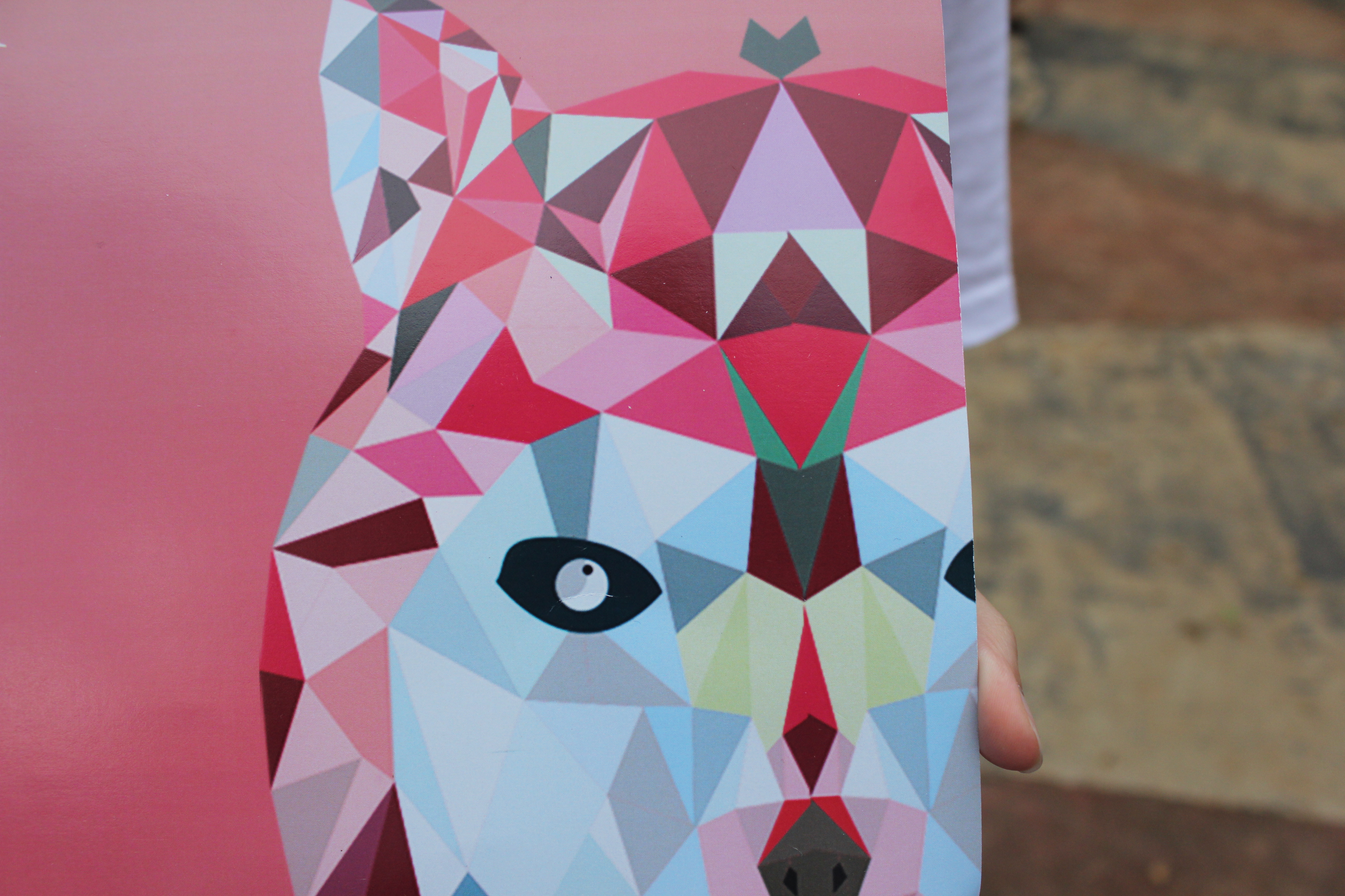WOLF – TKAP 2016