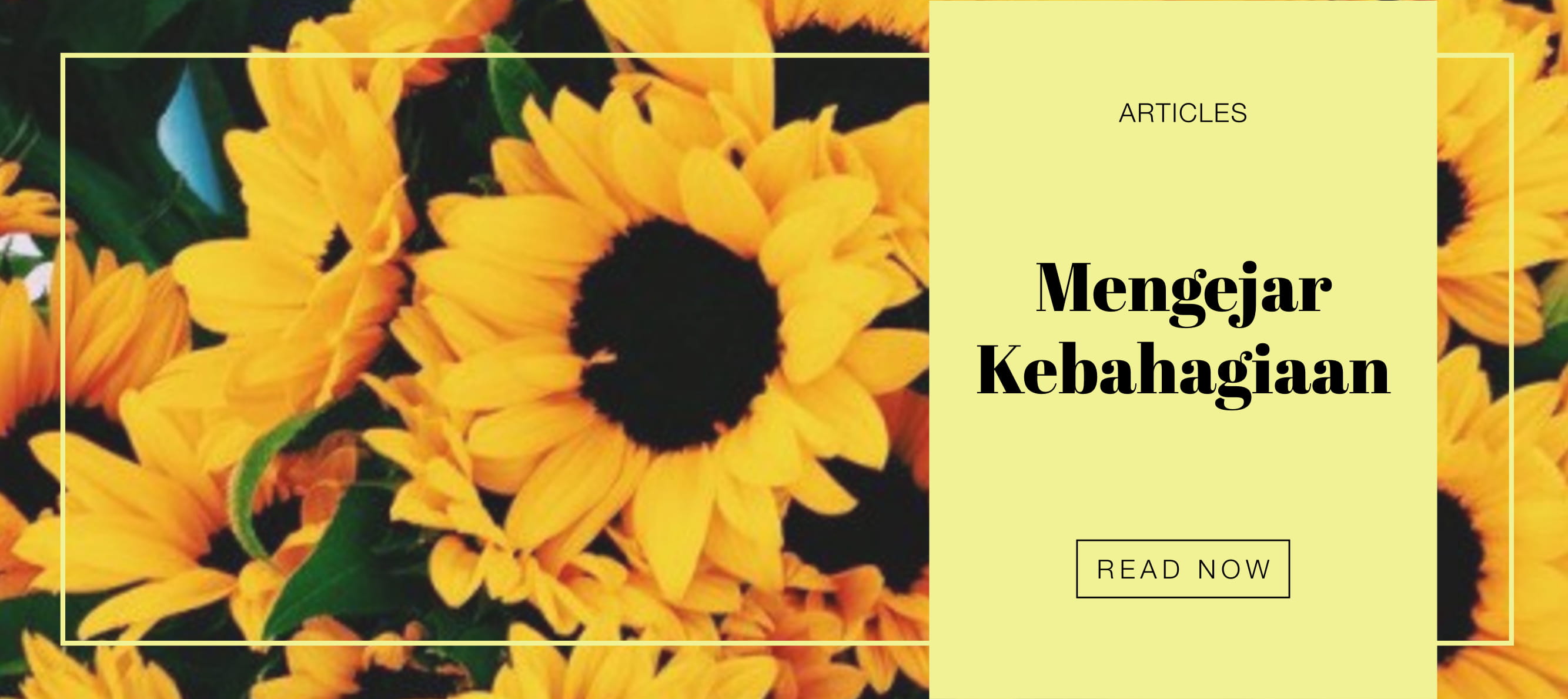 Mengejar Kebahagiaan
