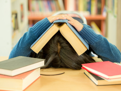 Burnout Akademik