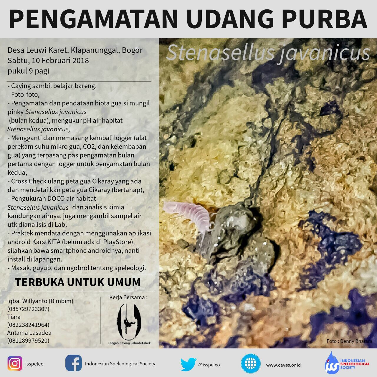 Pengamatan Udang Purba Bersama LatGab Caving Jabodetabek