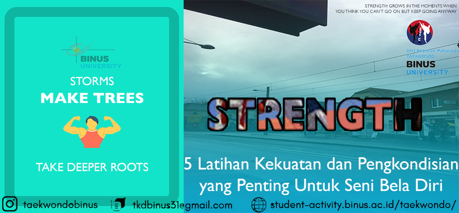 5 Latihan Kekuatan dan Pengkondisian yang Penting Untuk Seni Bela Diri