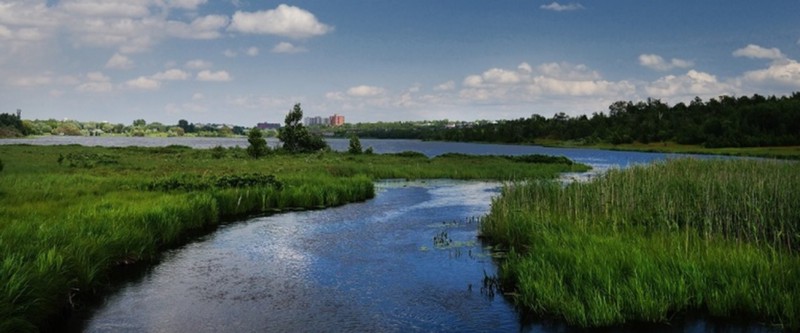 How We Can Help Clean Our Environment