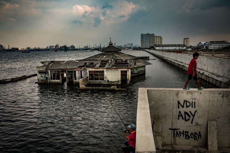 Nature Takes Over Jakarta