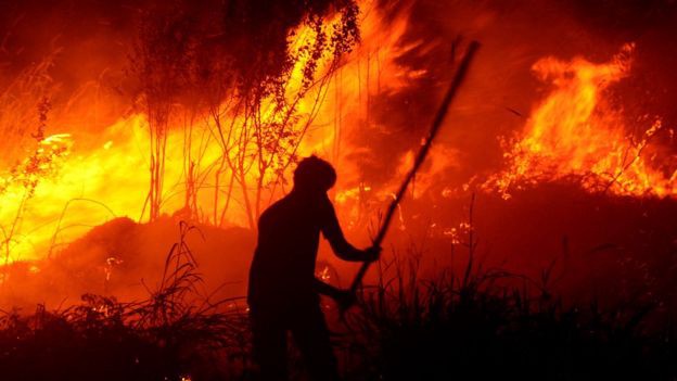 Battling Through Massive Forest Fires in Kalimantan, Indonesia.