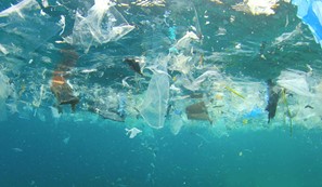 WHY WE NEED TO STOP USING SINGLE USE PLASTIC?