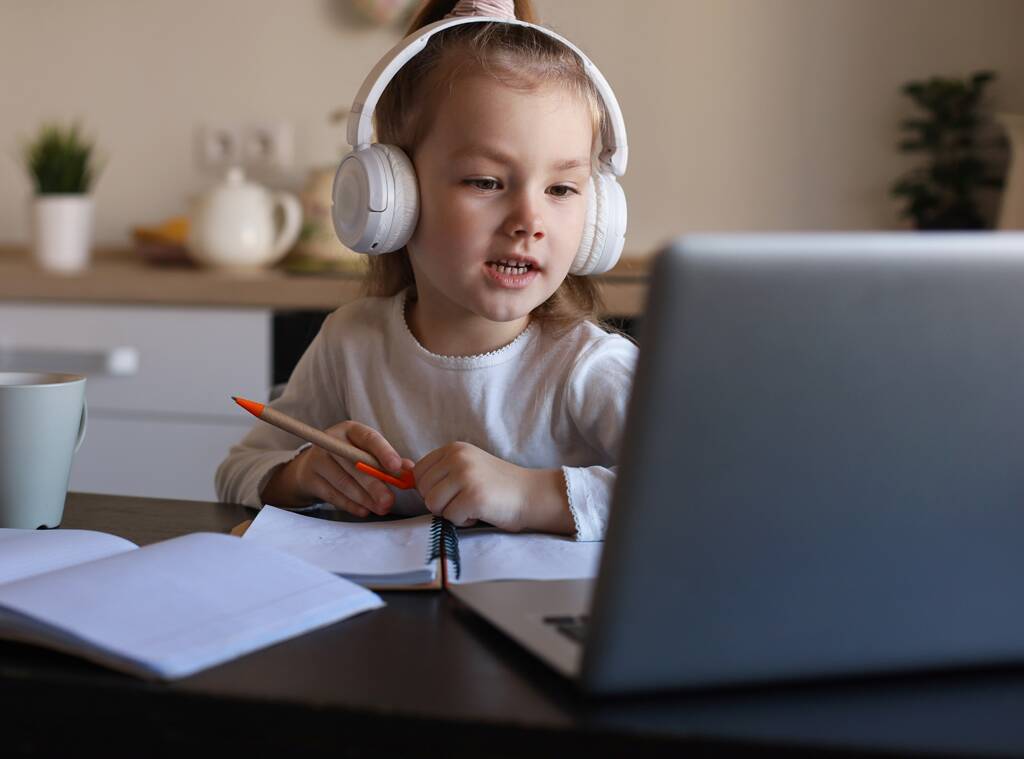 Virtual Learning Environment In a Pandemic Covid19 And How To Tackle