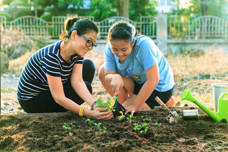 Memaksimalkan Penggunaan Lahan Rumah Menjadi Tempat Bercocok Tanam