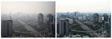 Dampak Covid-19 Terhadap Lingkungan