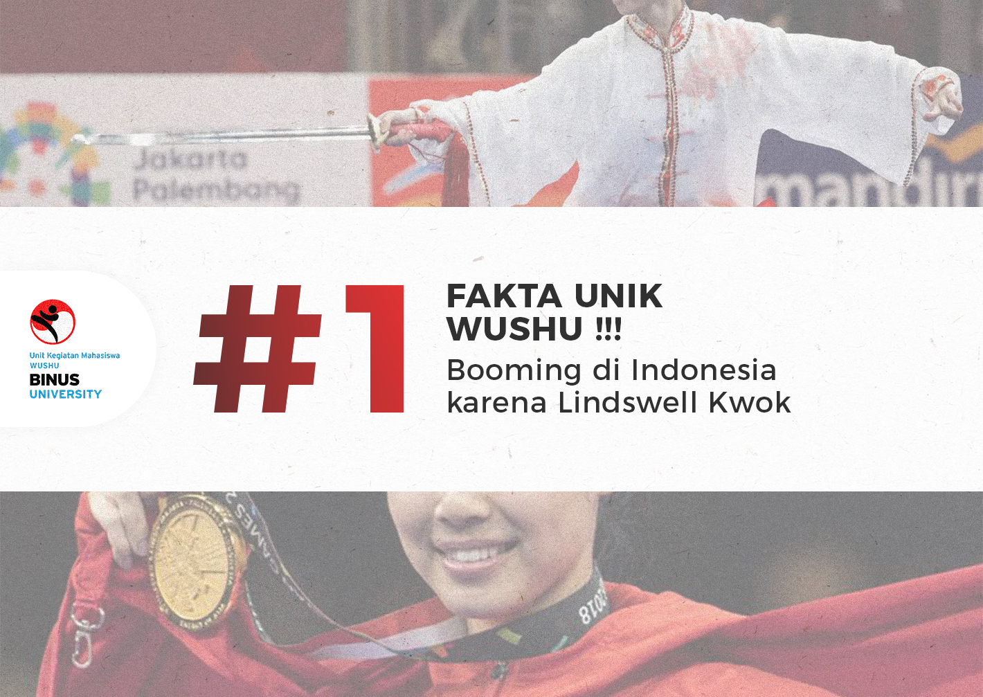 Fakta Unik Olahraga Wushu #1
